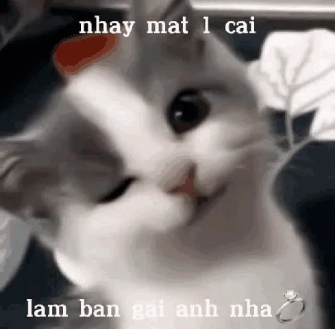 100+ Ảnh Chế Làm Bạn Gái Anh Nha Hài Hước, 100+ Hình Chế Đẹp Chất 100+ Ảnh Chế Làm Bạn Gái Anh Nha Hài Hước, 100+ Hình Chế Đẹp Chất