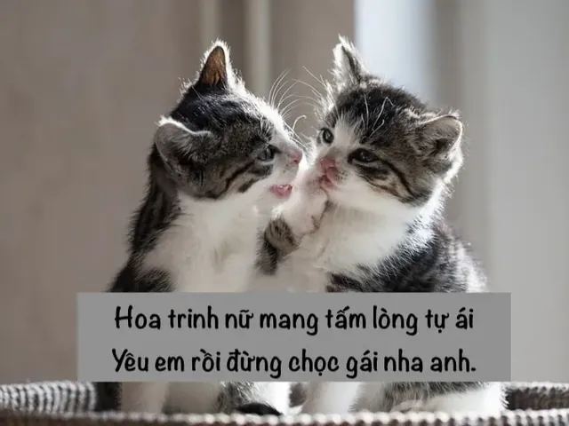 100+ Ảnh Chế Làm Bạn Gái Anh Nha Hài Hước, 100+ Hình Chế Đẹp Chất 100+ Ảnh Chế Làm Bạn Gái Anh Nha Hài Hước, 100+ Hình Chế Đẹp Chất