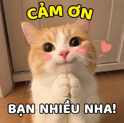 100+ Ảnh Chế Làm Bạn Gái Anh Nha Hài Hước, 100+ Hình Chế Đẹp Chất 100+ Ảnh Chế Làm Bạn Gái Anh Nha Hài Hước, 100+ Hình Chế Đẹp Chất