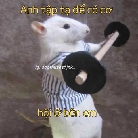 100+ Ảnh Chế Thuốc Liều Tán Gái Đỉnh Cao, Cập Nhật Mới Nhất 100+ Ảnh Chế Thuốc Liều Tán Gái Đỉnh Cao, Cập Nhật Mới Nhất
