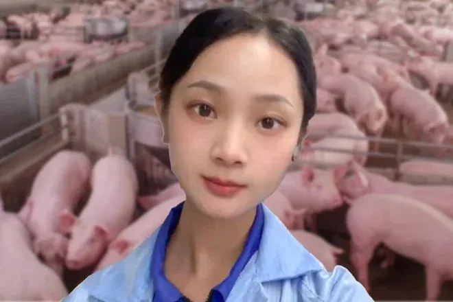 999+ Ảnh Ảnh Chế Trói Cô Gái Như Heo Mới Nhất Hiện Nay