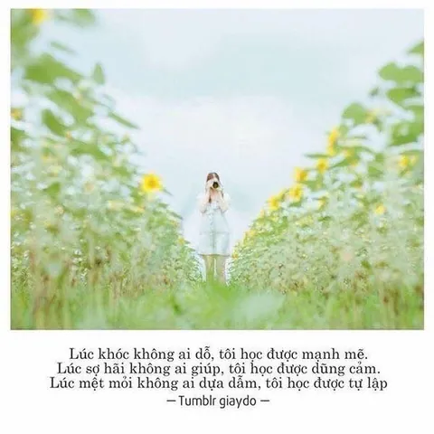 100+ Ảnh Chữ Cố Gắng Lên Cô Gái 4k Đẹp Nhất, Wallpaper Chữ Ý Nghĩa Sâu Sắc