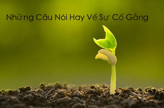 100+ Ảnh Chữ Cố Gắng Lên Cô Gái 4k Đẹp Nhất, Wallpaper Chữ Ý Nghĩa Sâu Sắc