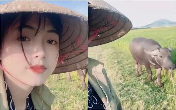100+ Ảnh Chụp Chân Trâu Trên Lưng Cô Girl Concept Nghệ Thuật Độc 100+ Ảnh Chụp Chân Trâu Trên Lưng Cô Girl Concept Nghệ Thuật Độc