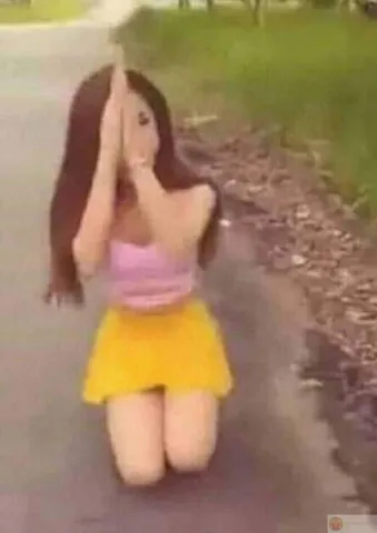 100+ Ảnh Cô Gái Cầm Gạch Meme, Đẹp, Hài Hước Full Hd 4k 100+ Ảnh Cô Gái Cầm Gạch Meme, Đẹp, Hài Hước Full Hd 4k