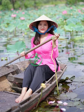100+ Ảnh Cô Gái Hái Sen Đẹp Nhất, Hình Nền Chụp Sen Tây Hồ Cực Chill