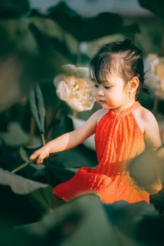 100+ Ảnh Cô Gái Hái Sen Đẹp Nhất, Hình Nền Chụp Sen Tây Hồ Cực Chill