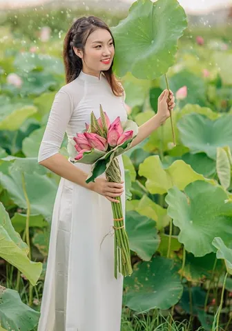 100+ Ảnh Cô Gái Hái Sen Đẹp Nhất, Hình Nền Chụp Sen Tây Hồ Cực Chill