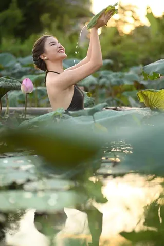 100+ Ảnh Cô Gái Hái Sen Đẹp Nhất, Hình Nền Chụp Sen Tây Hồ Cực Chill