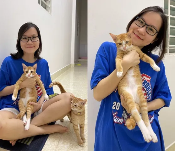 100+ Ảnh Cô Gái Mèo Fabook Đẹp Nhất, Hình Ảnh Cô Gái Mèo Fabook Cực Đẹp, Tải Miễn Phí 100+ Ảnh Cô Gái Mèo Fabook Đẹp Nhất, Hình Ảnh Cô Gái Mèo Fabook Cực Đẹp, Tải Miễn Phí