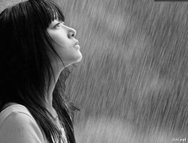 100+ Ảnh Cô Gái Ngồi Dưới Mưa Chill 4k, Hình Nền Mưa Buồn Đẹp 100+ Ảnh Cô Gái Ngồi Dưới Mưa Chill 4k, Hình Nền Mưa Buồn Đẹp