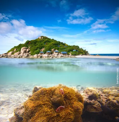 100+ Ảnh Cô Gái Nửa Trên Mặt Nước Chill Chất, Wallpaper 4k Cực Đẹp