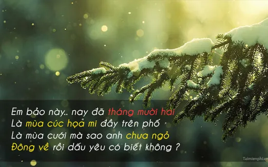 100+ Ảnh Cô Gái Tháng 12 Full Hd, Aesthetic Chill Chết Chết