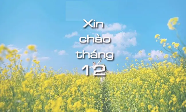 100+ Ảnh Cô Gái Tháng 12 Full Hd, Aesthetic Chill Chết Chết