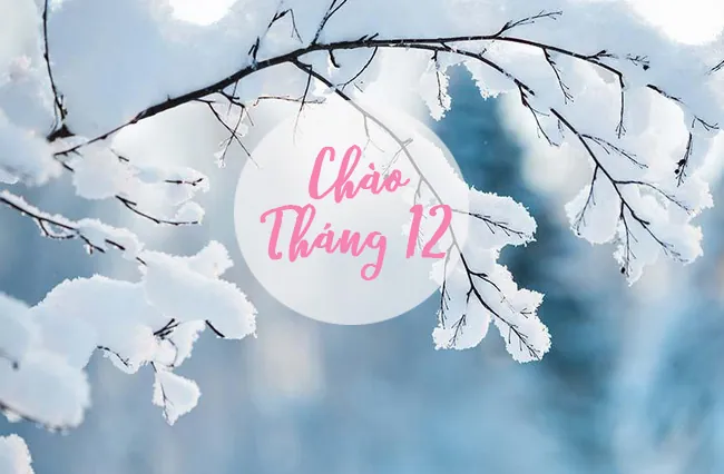100+ Ảnh Cô Gái Tháng 12 Full Hd, Aesthetic Chill Chết Chết
