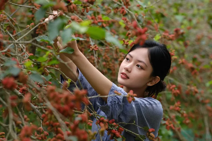 100+ Ảnh Cô Gái Thèm Ăn Ngon Dễ Thương, Hình Thèm Ăn Ngập Bàn Siêu Chạm Tim 100+ Ảnh Cô Gái Thèm Ăn Ngon Dễ Thương, Hình Thèm Ăn Ngập Bàn Siêu Chạm Tim