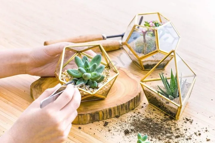 100+ Ảnh Con Gái Trong Lọ Thủy Tinh Cực Đẹp, Bộ Sưu Tập Nghệ Thuật Sáng Tạo Unique