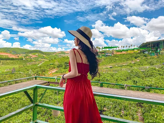100+ Ảnh Gái Chụp Đà Lạt Chill Chill Full Hd, 100+ Hình Nền Gái Xinh Đà Lạt Cực Chất Cho Điện Thoại 100+ Ảnh Gái Chụp Đà Lạt Chill Chill Full Hd, 100+ Hình Nền Gái Xinh Đà Lạt Cực Chất Cho Điện Thoại