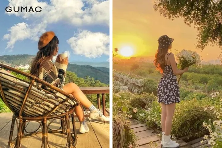 100+ Ảnh Gái Chụp Đà Lạt Chill Chill Full Hd, 100+ Hình Nền Gái Xinh Đà Lạt Cực Chất Cho Điện Thoại 100+ Ảnh Gái Chụp Đà Lạt Chill Chill Full Hd, 100+ Hình Nền Gái Xinh Đà Lạt Cực Chất Cho Điện Thoại