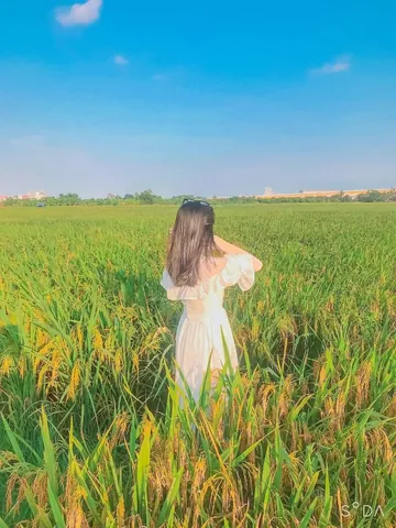 100+ Ảnh Gái Chụp Từ Sau Lưng Full Hd 4k Cực Chill, Đẹp Nhất 100+ Ảnh Gái Chụp Từ Sau Lưng Full Hd 4k Cực Chill, Đẹp Nhất