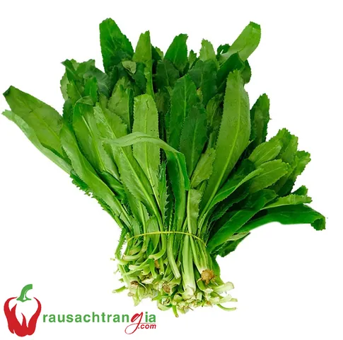 100+ Ảnh Gái Già Rau Sạch Cực Chất, Hình Nền Nữ Nàng Trưởng Thành Sang Trọng 100+ Ảnh Gái Già Rau Sạch Cực Chất, Hình Nền Nữ Nàng Trưởng Thành Sang Trọng