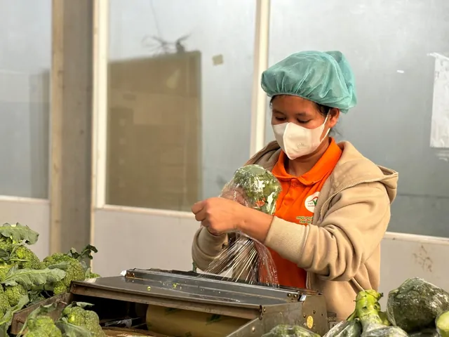 100+ Ảnh Gái Già Rau Sạch Cực Chất, Hình Nền Nữ Nàng Trưởng Thành Sang Trọng 100+ Ảnh Gái Già Rau Sạch Cực Chất, Hình Nền Nữ Nàng Trưởng Thành Sang Trọng