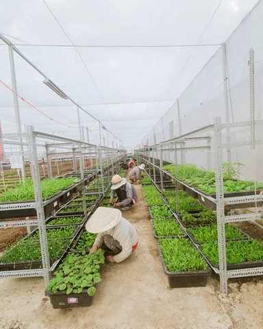 100+ Ảnh Gái Già Rau Sạch Cực Chất, Hình Nền Nữ Nàng Trưởng Thành Sang Trọng 100+ Ảnh Gái Già Rau Sạch Cực Chất, Hình Nền Nữ Nàng Trưởng Thành Sang Trọng