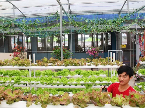 100+ Ảnh Gái Già Rau Sạch Cực Chất, Hình Nền Nữ Nàng Trưởng Thành Sang Trọng 100+ Ảnh Gái Già Rau Sạch Cực Chất, Hình Nền Nữ Nàng Trưởng Thành Sang Trọng