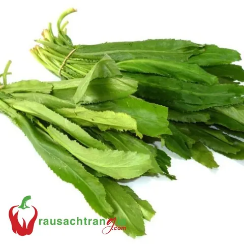 100+ Ảnh Gái Già Rau Sạch Cực Chất, Hình Nền Nữ Nàng Trưởng Thành Sang Trọng 100+ Ảnh Gái Già Rau Sạch Cực Chất, Hình Nền Nữ Nàng Trưởng Thành Sang Trọng