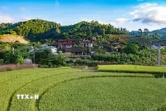 Bài Cúng Đón Giao Thừa Năm 2000 (bính Ngọ): Văn Khấn Trong Nhà & Ngoài Trời Chuẩn Chỉnh Bài Cúng Đón Giao Thừa Năm 2000 (bính Ngọ): Văn Khấn Trong Nhà & Ngoài Trời Chuẩn Chỉnh
