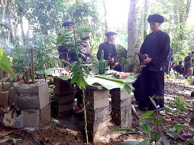 Bài Cúng Khai Thác Rừng: Ý Nghĩa, Lễ Vật Và Quy Trình Nghi Lễ Chuẩn Truyền Thống