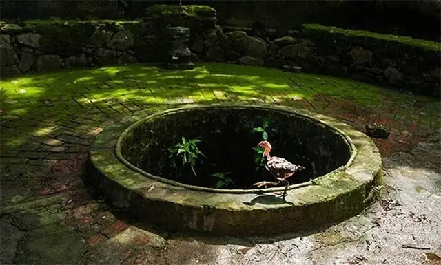 Bài Cúng Khoan Giếng Lấy Nước Tưới Cà Phê: Văn Khấn Chuẩn Và Cách Sắm Lễ Đầy Đủ Bài Cúng Khoan Giếng Lấy Nước Tưới Cà Phê: Văn Khấn Chuẩn Và Cách Sắm Lễ Đầy Đủ