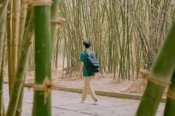 Văn Khấn Cúng Ông Công Giao Thừa Chi Tiết A-z: Bài Cúng Ngoài Trời & Trong Nhà Chuẩn Nhất Văn Khấn Cúng Ông Công Giao Thừa Chi Tiết A-z: Bài Cúng Ngoài Trời & Trong Nhà Chuẩn Nhất