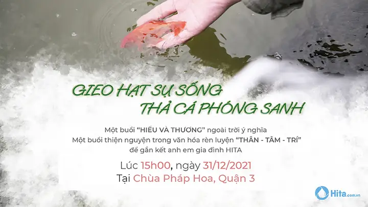 Cách Viết Bài Cúng Phóng Sinh Chuẩn, Đúng Nghi Thức Và Lợi Ích Tương Ứng