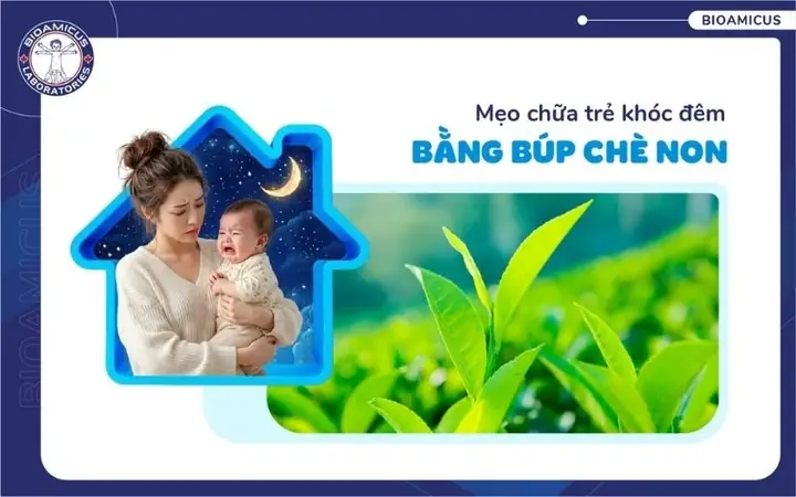 Bài Cúng Trẻ Khóc Đêm: Nghi Lễ, Cách Làm Và Giải Pháp Thực Tế Cho Bé Ngủ Ngon Bài Cúng Trẻ Khóc Đêm: Nghi Lễ, Cách Làm Và Giải Pháp Thực Tế Cho Bé Ngủ Ngon