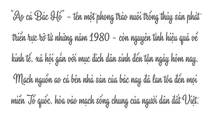 Bài Văn Cúng Bác Hồ Chuẩn Nhất: Ý Nghĩa, Tâm Lý & Cách Viết Chi Tiết A-z Bài Văn Cúng Bác Hồ Chuẩn Nhất: Ý Nghĩa, Tâm Lý & Cách Viết Chi Tiết A-z