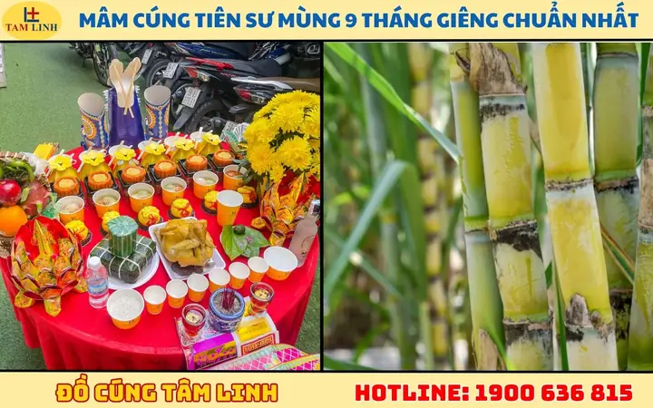 Văn Khấn Cúng Tiên Sư Mùng 9 Tháng Giêng Chuẩn - Đầy Đủ Ý Nghĩa Và Cách Làm Lễ Chi Tiết Nhất Văn Khấn Cúng Tiên Sư Mùng 9 Tháng Giêng Chuẩn - Đầy Đủ Ý Nghĩa Và Cách Làm Lễ Chi Tiết Nhất