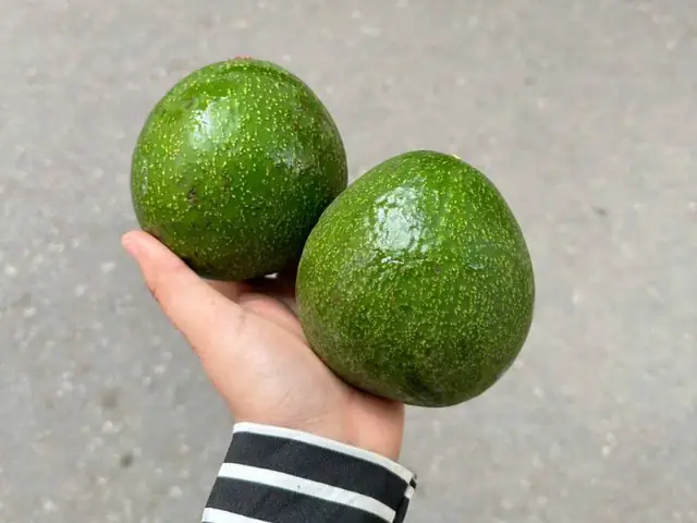 Bơ Có Cúng Được Không? Bí Mật Về Việc Dùng Quả Bơ Làm Cúng Bạn Cần Biết Bơ Có Cúng Được Không? Bí Mật Về Việc Dùng Quả Bơ Làm Cúng Bạn Cần Biết