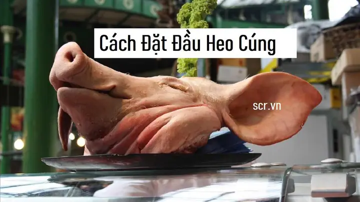 Cách Cúng Đầu Heo Chuẩn Chuẩn: Quy Trình Sơ Chế, Bày Mâm Và Ý Nghĩa Phong Tục Cách Cúng Đầu Heo Chuẩn Chuẩn: Quy Trình Sơ Chế, Bày Mâm Và Ý Nghĩa Phong Tục