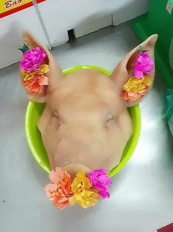 Cách Luộc Đầu Heo Cúng Đúng Chuẩn Nguyên Vị Tại Hồng Chỷ Cách Luộc Đầu Heo Cúng Đúng Chuẩn Nguyên Vị Tại Hồng Chỷ