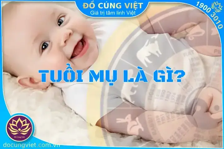 Hướng Dẫn Cách Tính Tuổi Cúng Căn Chuẩn Nhất: Quy Tắc Lùi Ngày Nam/nữ, Tuổi Âm Hay Dương?