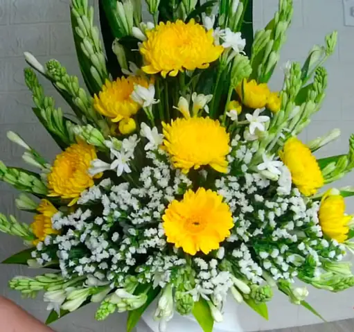 Hướng Dẫn Cắm Hoa Bàn Thờ Phật Đẹp, Ý Nghĩa Và Đúng Quy Chuẩn (top 15+ Mẫu & Các Loài Hoa Nên Chọn) Hướng Dẫn Cắm Hoa Bàn Thờ Phật Đẹp, Ý Nghĩa Và Đúng Quy Chuẩn (top 15+ Mẫu & Các Loài Hoa Nên Chọn)