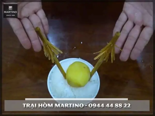 Cúng Cơm Người Chết Có Ăn Được Không? Giải Đáp Từ Góc Độ Vật Chất, Tâm Linh & Những Kiêng Kỵ Quan Trọng