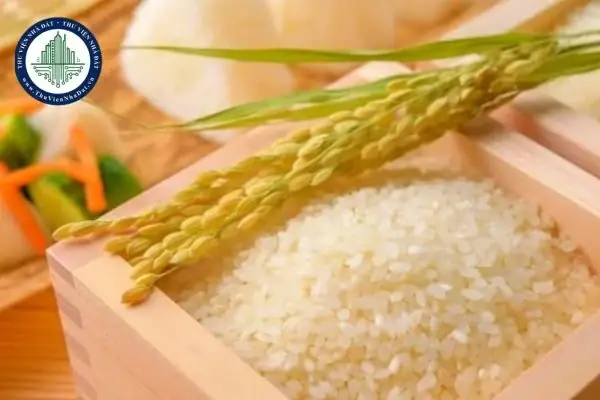 Cúng Đất Đai Có Muối Gạo Không? Chuẩn Bị Lễ Vật Đúng Chuẩn & Ý Nghĩa Phong Thủy Cúng Đất Đai Có Muối Gạo Không? Chuẩn Bị Lễ Vật Đúng Chuẩn & Ý Nghĩa Phong Thủy