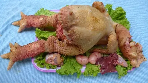 Hướng Dẫn Cách Cúng Gà Đông Tảo Đúng Nghi Thức: Ý Nghĩa, Chuẩn Bị Mâm Cúng Và Các Bước Thực Hiện Chi Tiết Hướng Dẫn Cách Cúng Gà Đông Tảo Đúng Nghi Thức: Ý Nghĩa, Chuẩn Bị Mâm Cúng Và Các Bước Thực Hiện Chi Tiết