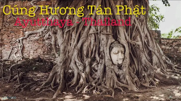 Toàn Văn Cúng Hương Tán Phật (chữ Hán - Việt) & Hướng Dẫn Nghi Lễ Cúng Dường Chuẩn Chỉnh Toàn Văn Cúng Hương Tán Phật (chữ Hán - Việt) & Hướng Dẫn Nghi Lễ Cúng Dường Chuẩn Chỉnh