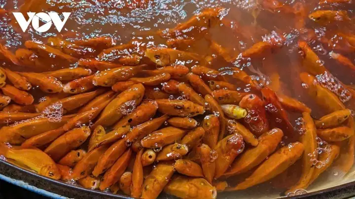 Hướng Dẫn Cúng Ông Công Ông Táo Đúng Vị Trí: Đặt Mâm Cúng Ở Đâu, Chọn & Thả Cá Chép Như Thế Nào Cho Đúng Phong Tục