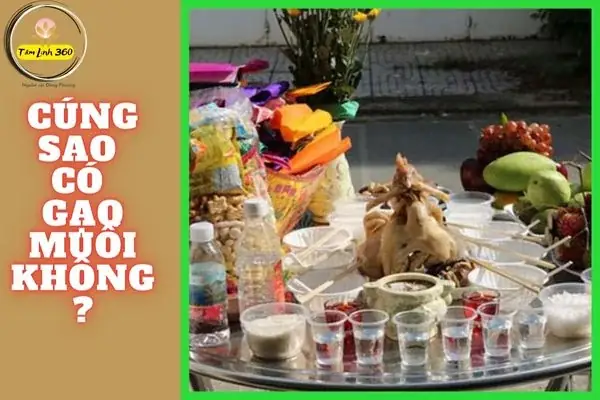 Cúng Sao Có Gạo Muối Không Và Ý Nghĩa Thực Sự Của Việc Dâng Lễ Cúng Sao Có Gạo Muối Không Và Ý Nghĩa Thực Sự Của Việc Dâng Lễ