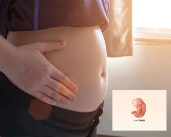 100+ Hình Ảnh Bụng Bầu Con Gái Đẹp, 100+ Ảnh Bụng Bầu Tháng Cuối 4k