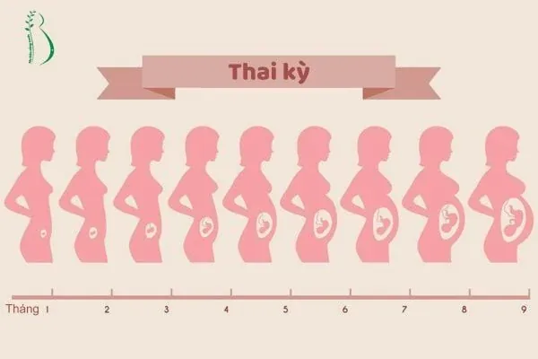 100+ Hình Ảnh Bụng Bầu Con Gái Đẹp, 100+ Ảnh Bụng Bầu Tháng Cuối 4k